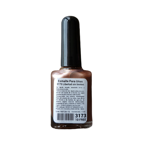 3173R-removebg-preview-1.png